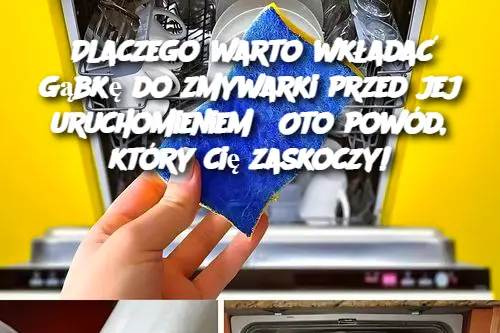 Dlaczego warto wkładać gąbkę do zmywarki przed jej uruchomieniem? Oto powód, który cię zaskoczy!