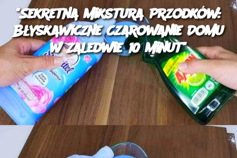 Sekretna Mikstura Przodków: Błyskawiczne Czarowanie Domu w Zaledwie 10 Minut