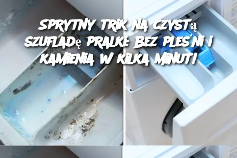 Sprytny trik na czystą szufladę pralki: Bez pleśni i kamienia w kilka minut!